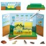 Headu Montessori - Jurnalul Stiintei Headu - 1